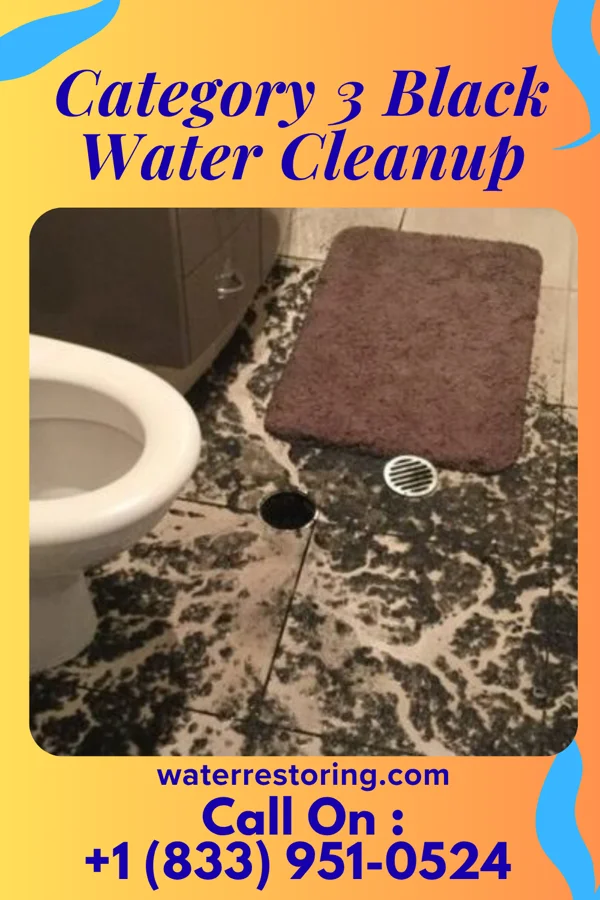 Category 3 Black Water Cleanup in Sophia, WV