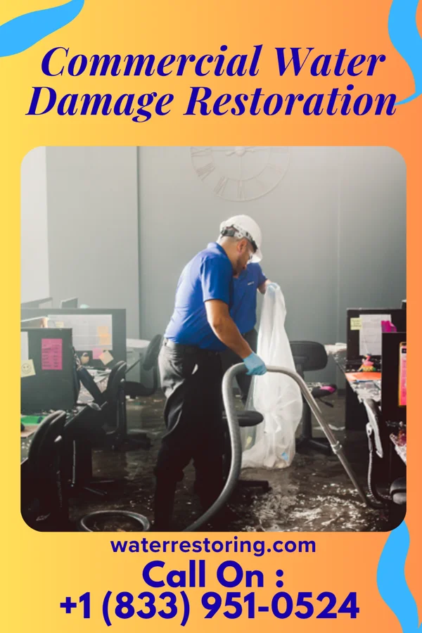 Commercial Water Damage Restoration in Sophia, WV