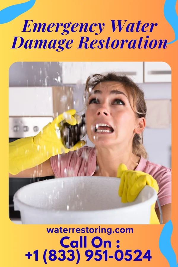 Emergency Water Damage Restoration in Sophia, WV