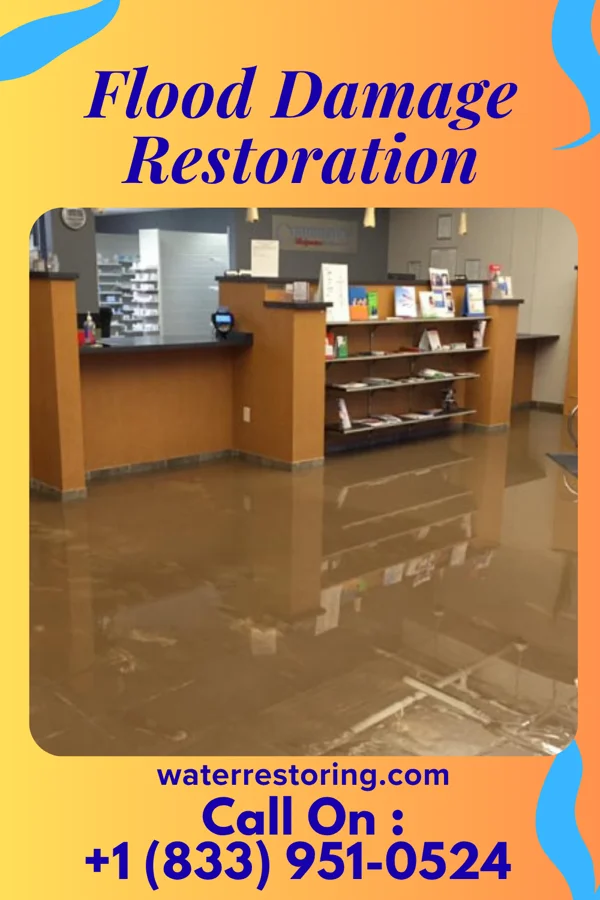 Flood Damage Restoration in Sophia, WV