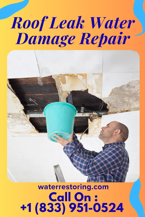 Roof Leak Water Damage Repair in Sophia, WV