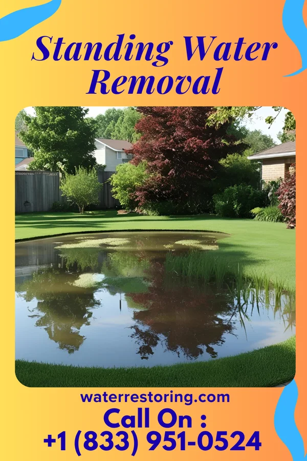 Standing Water Removal in Sophia, WV